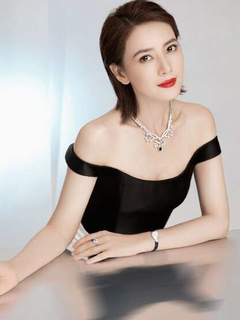 Gao Yuanyuan (高圆圆)